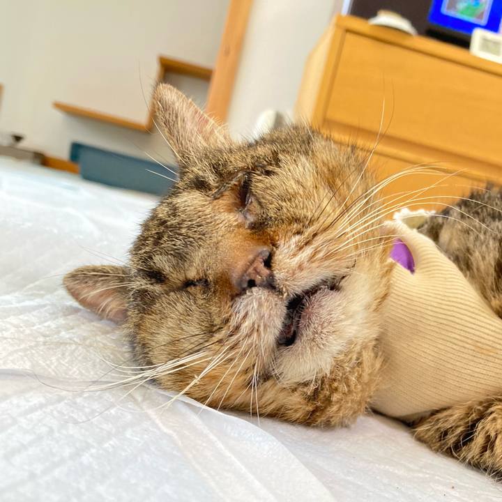 Ac4a6ffb bb99 45b2 afb3 c2e6d5495307 1688954444180