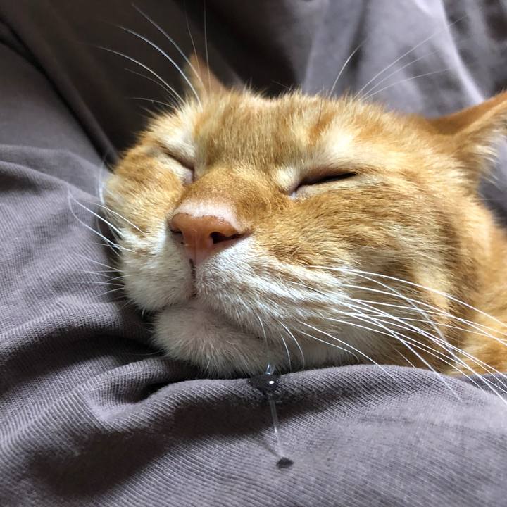 Ac4a7d59 7c91 4f9c b49a 19fc077e3289 1701772575182