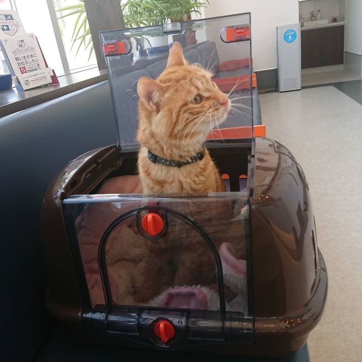 Ac4a7da2 a8c0 4843 86fc 9539baf0948b 1653877622595