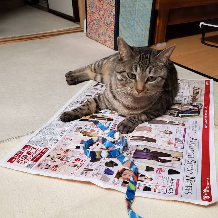 Ac4a84c1 706f 4f38 9b48 6cd1c4fb5ac5 1696565208754