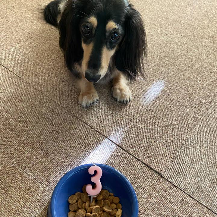 Ac4aaab7 a03d 4f66 b89b e984905f4bd5 1753482954273