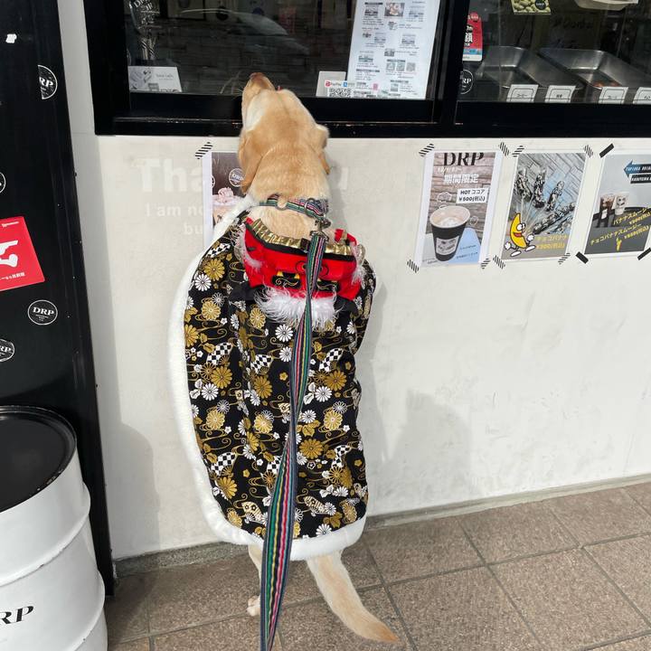 Ac4add86 03f5 40af be39 e7a9c9b22ce9 1675929192010