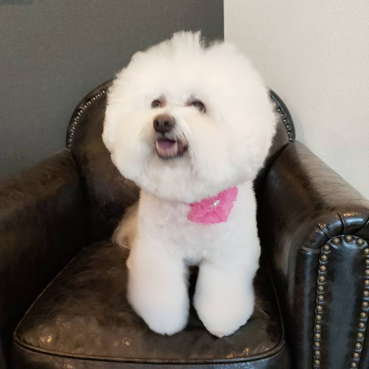 Ac4aea6f e622 4678 b4c0 80956e591e6b 1766923547977