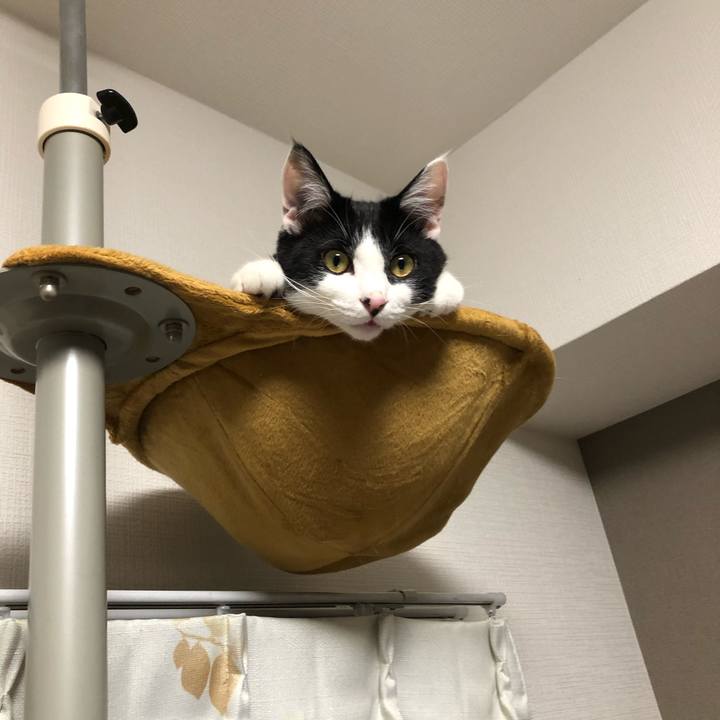 Ac4b1388 1e49 4426 959a c161caf8b528 1622474651908