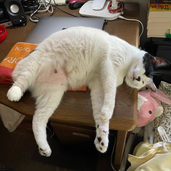 Ac4b6968 795c 474e 81cc b4f8948d79d2 1753063850635