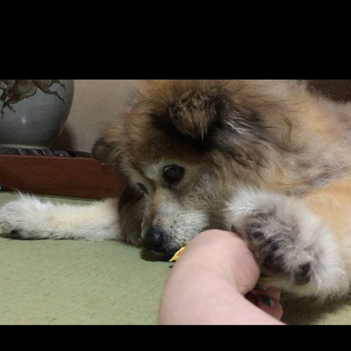 Ac4b76a2 b1e0 4d24 8b9d baa9be790df5 1563153374000