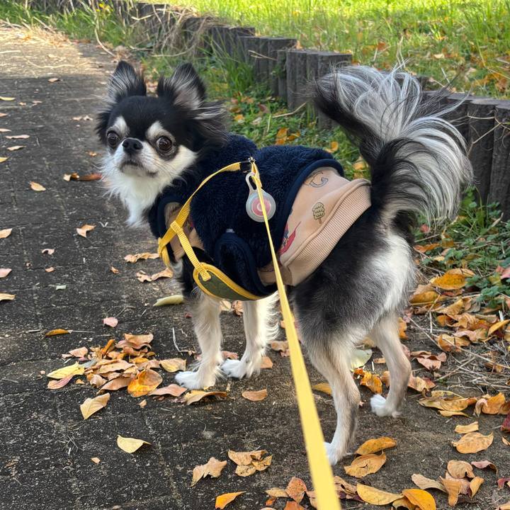 Ac4bc4a0 cdcf 4384 a752 e122a2fee8df 1733673156023