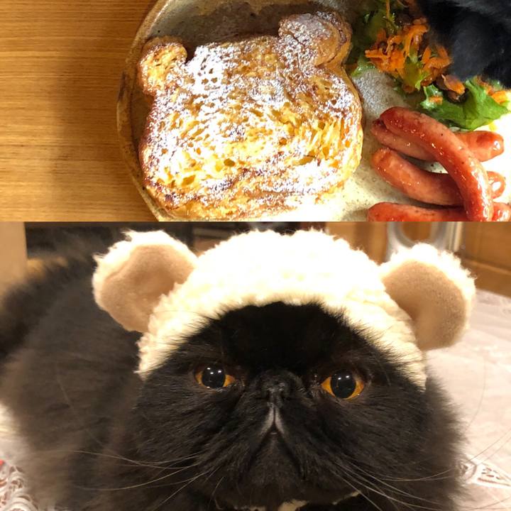 Ac4bc50d c4df 4db2 895a 3882fe88a895 1550374999125