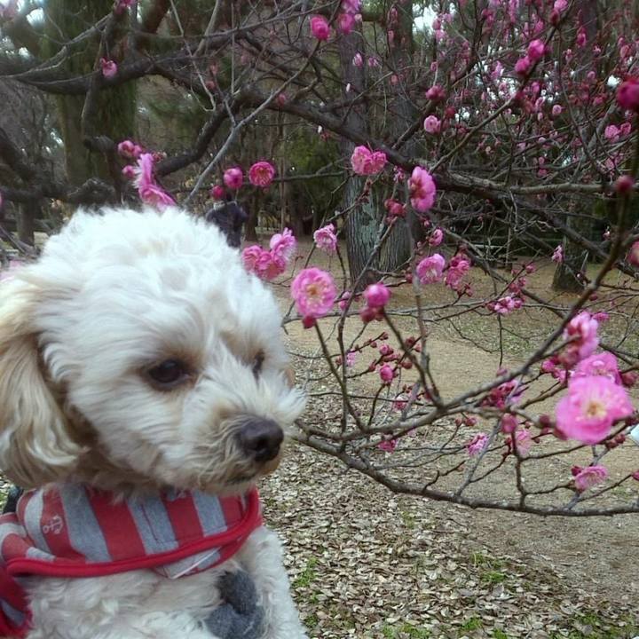 Ac4bc988 0966 44ae 9726 589b9660b384 1546486339189