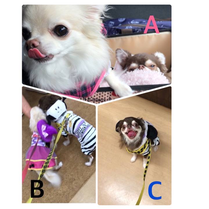 Ac4c103e df1e 4983 98f1 d39409b31c63 1507702171913