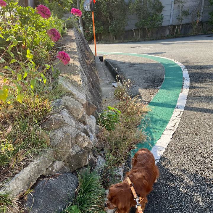 Ac4c17e8 1f44 4bb1 b2c1 c0eeebe74fd8 1698451287328