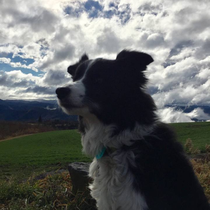 Ac4cbba4 f59a 4647 aa36 035ef6e4809b 1580116087555