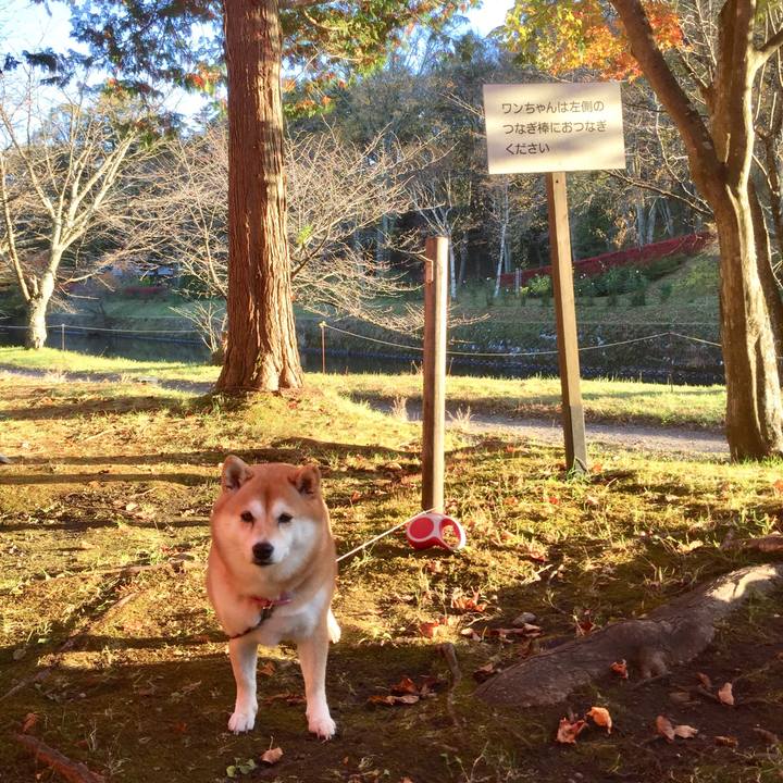 Ac4cc06c c7c3 436f 85fc 7fbe7d665753 1540940315072