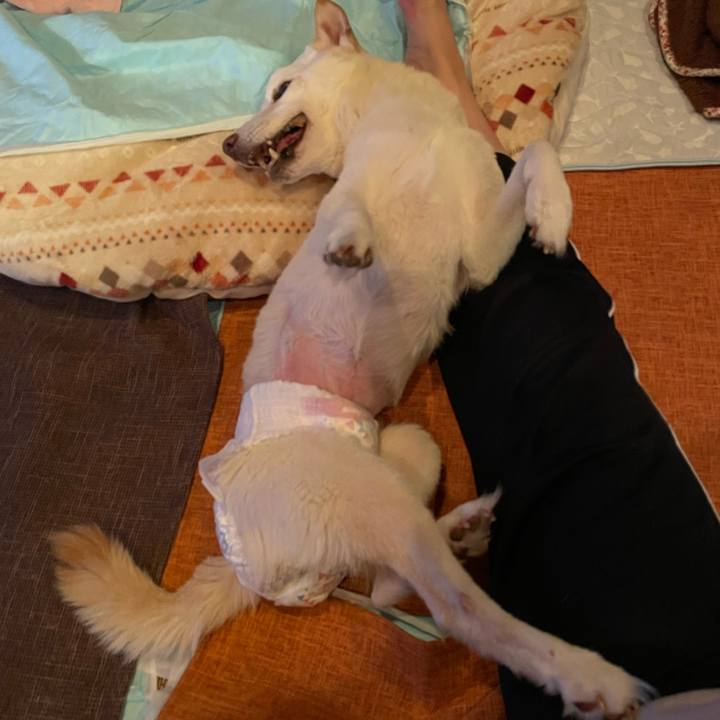 Ac4cc159 ce4b 421d ab81 13cec93e19f2 1669197950353