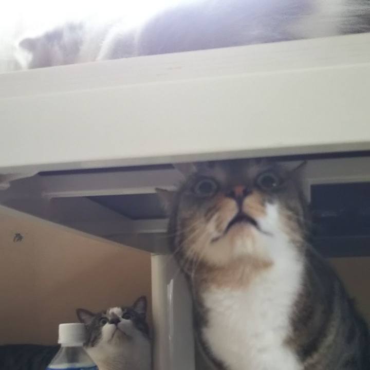 Ac4cdebc b623 4741 b33f d5dbf81f60cf 1624753671234