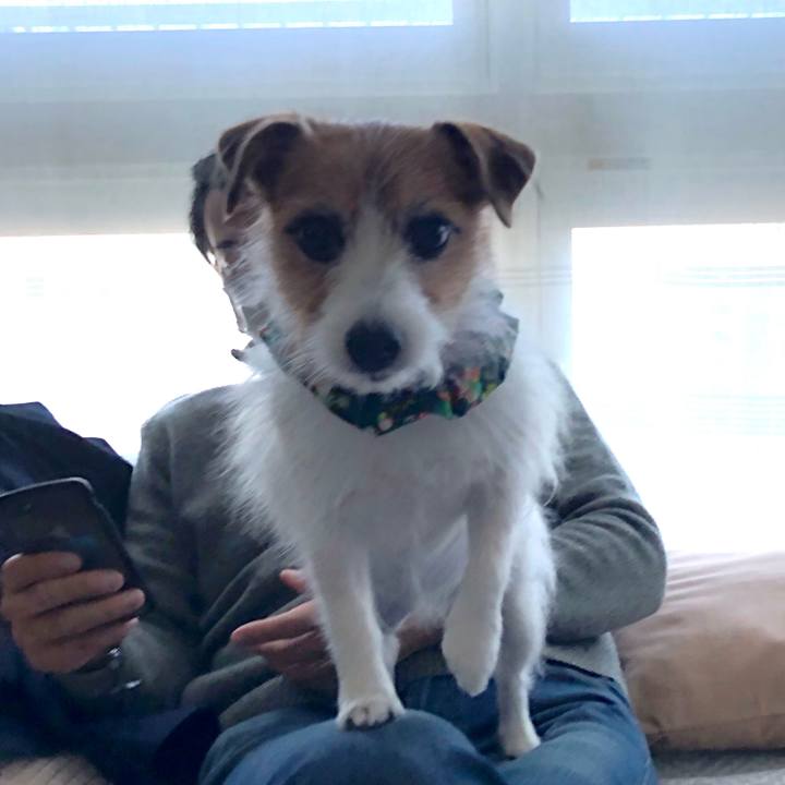 Ac4cf456 c11a 421b aa0e 9fcda88f85dc 1639226310965