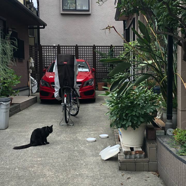 Ac4d08c8 f7fe 482c 995b 28f7723d4230 1562346114249