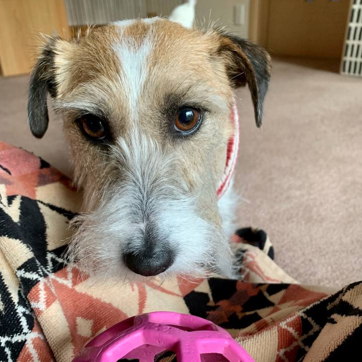 Ac4d1825 3d07 4105 a89b 08a6dc399165 1678021315782