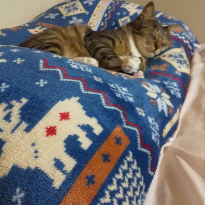 Ac4d224b c0e3 4fda 9b2d 5dc478a4f240 1666442609474