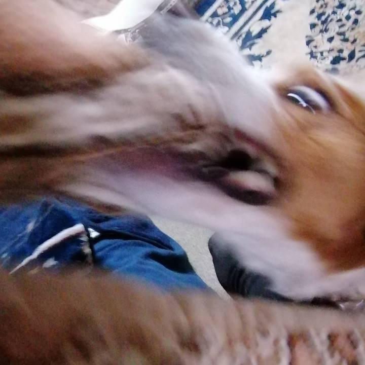 Ac4d4244 1276 4e82 b70d 3139ec8d4770 1586692378540