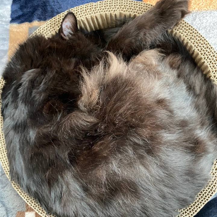 Ac4d7605 7b8e 4c9f b859 77dd13de9b71 1612963623021