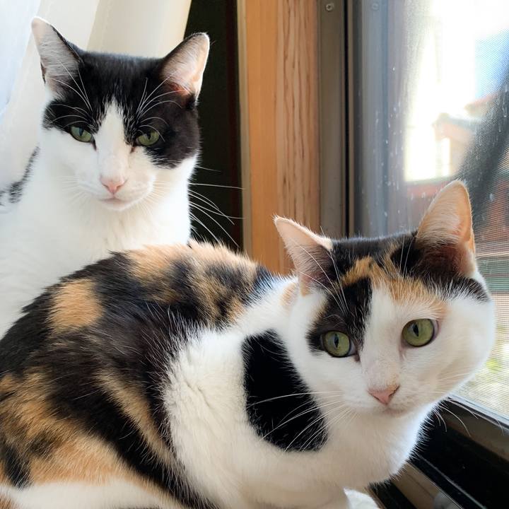 Ac4da7c4 a8d2 4367 8e6d 4a1ed6db78e0 1575338475742