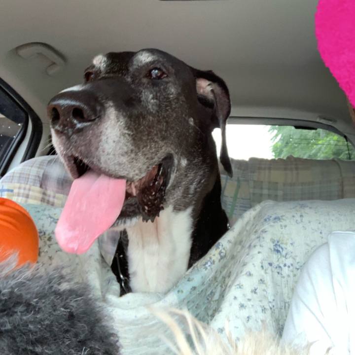 Ac4db100 2e02 45eb ae0c a9b234dbb3f1 1563593557653