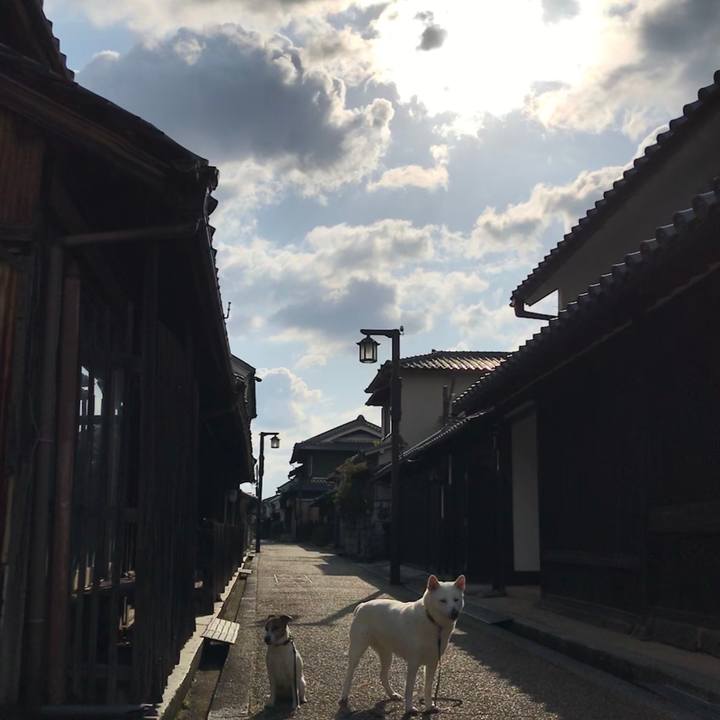 Ac4dced1 256a 4eff 9099 43562d59e7db 1523148191763