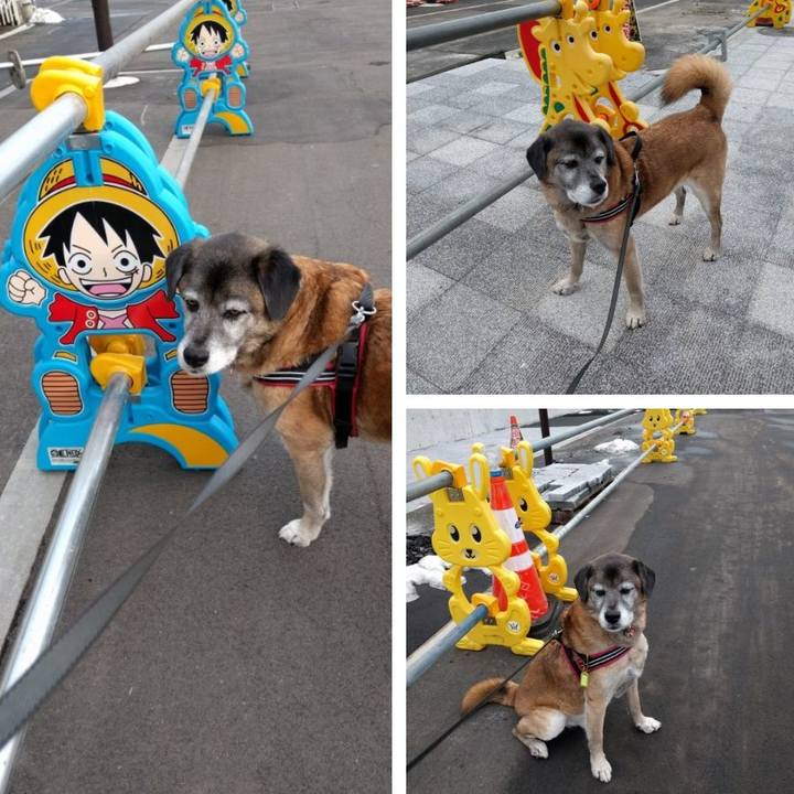 Ac4df744 ebd0 490e 9361 d486a5fcc9c5 1517708034014