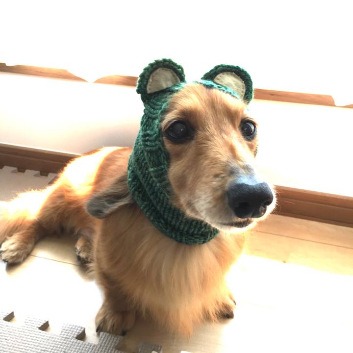 Ac4e1227 0044 418e bdab ce20907cb6eb 1680701859216