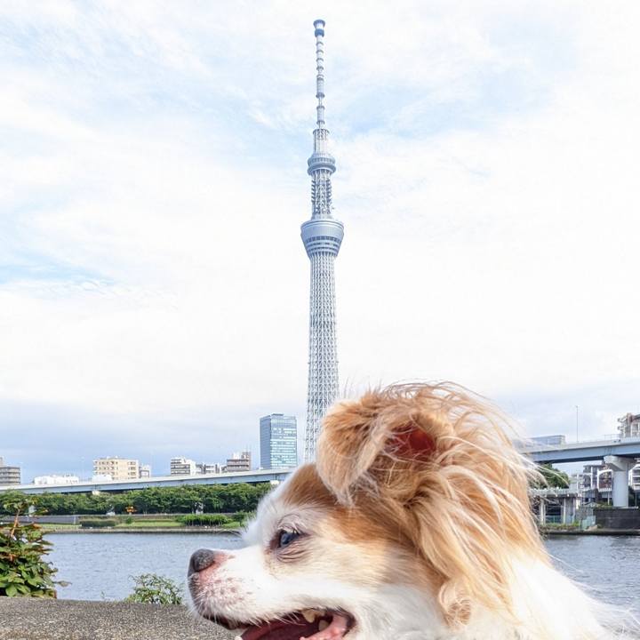 Ac4e1edc e569 468e 980d 85ff6f03286d 1662705678169