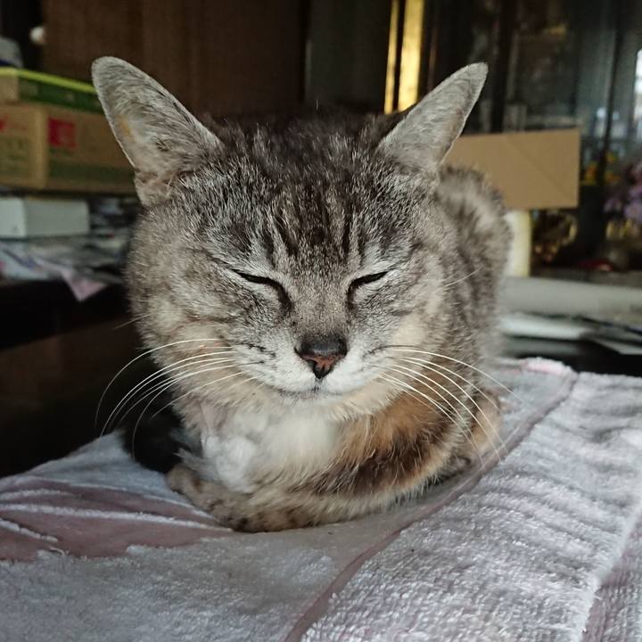 Ac4e33f4 9809 4b69 805b f621e534b23f 1591176744684