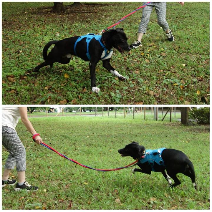 Ac4e50e9 df95 4384 a648 031fd4820bae 1628727755782