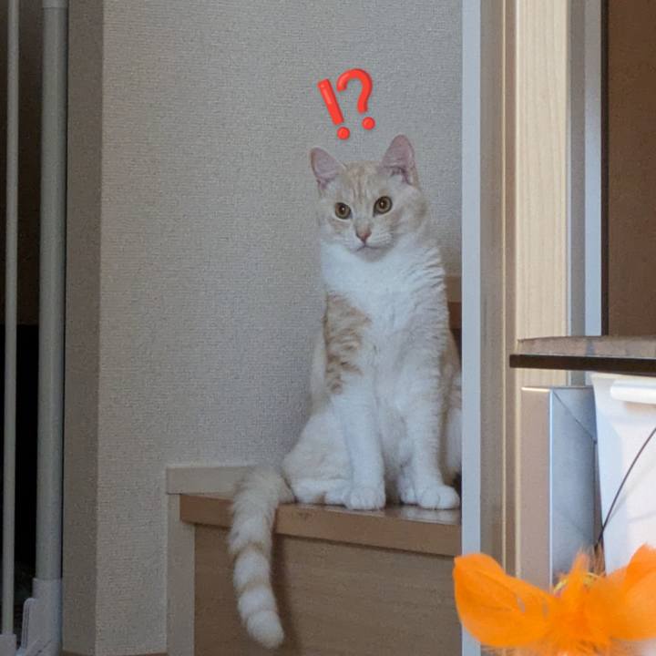 Ac4ed6b1 ec79 4215 8ef1 718e3139ee2e 1691965001039