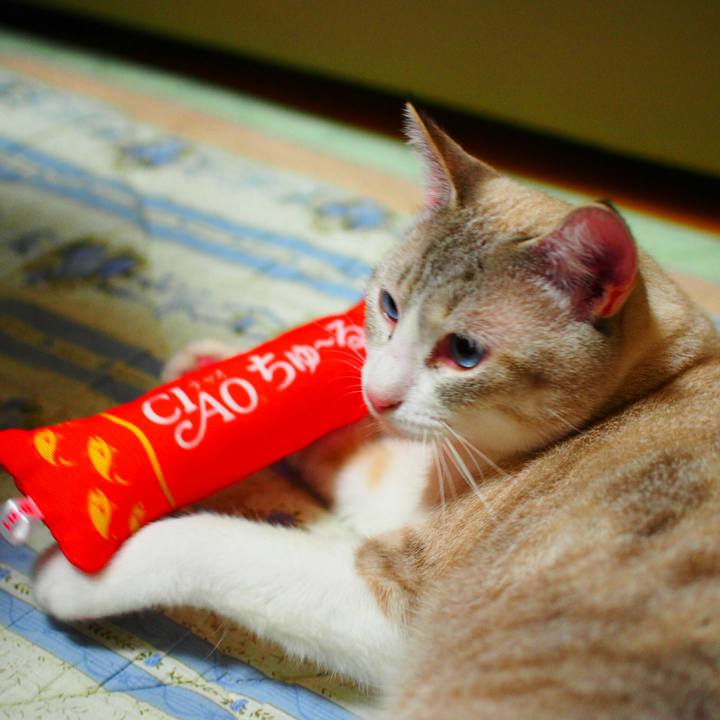 Ac4f1271 3af4 496b b8db 8b29c41a2fa8 1536906254159