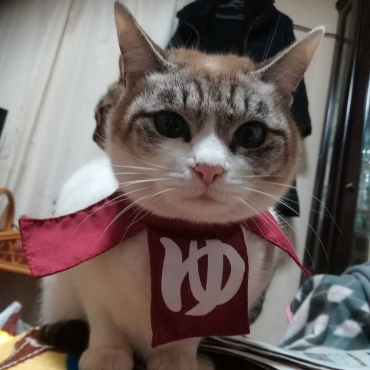 Ac4f1b9f 4afa 4b77 865b 212fa12b855c 1548599379421