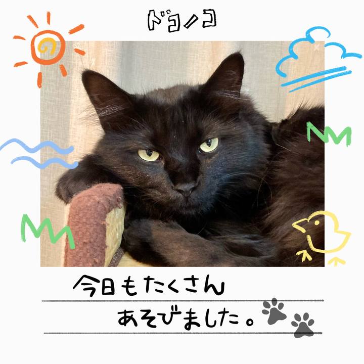 Ac4f4401 9e9e 4538 828c 41bd3f5968e1 1755082564360