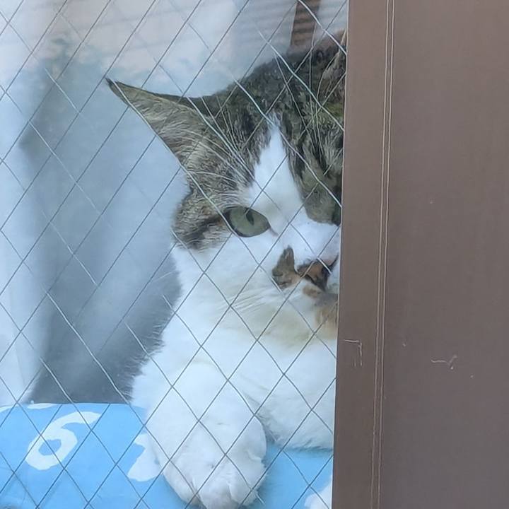 Ac4f865c 6f17 4bb5 81d5 ac65a134ea62 1756160703352