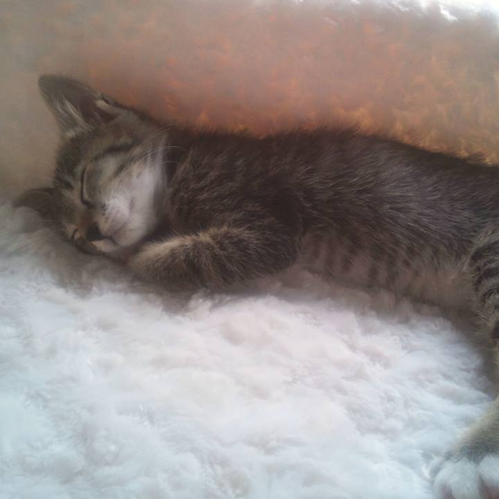 Ac4fccf0 ae3d 44b1 bd83 c4e348f93b0c 1641422206684