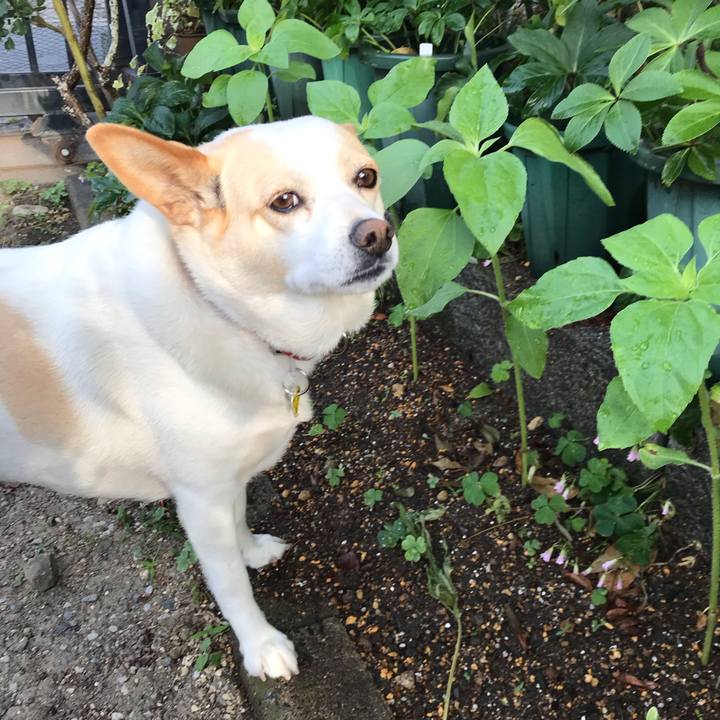 Ac4fe42b 71bd 49d3 9e0a be5dfefb8bc8 1653690549834