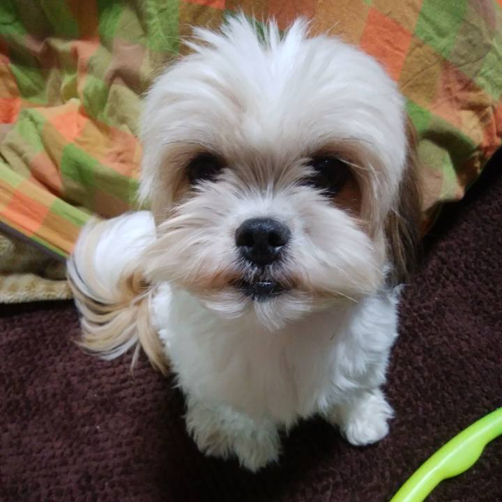 Ac503167 37d6 43a9 8e62 2af36c6f1e87 1540197552084