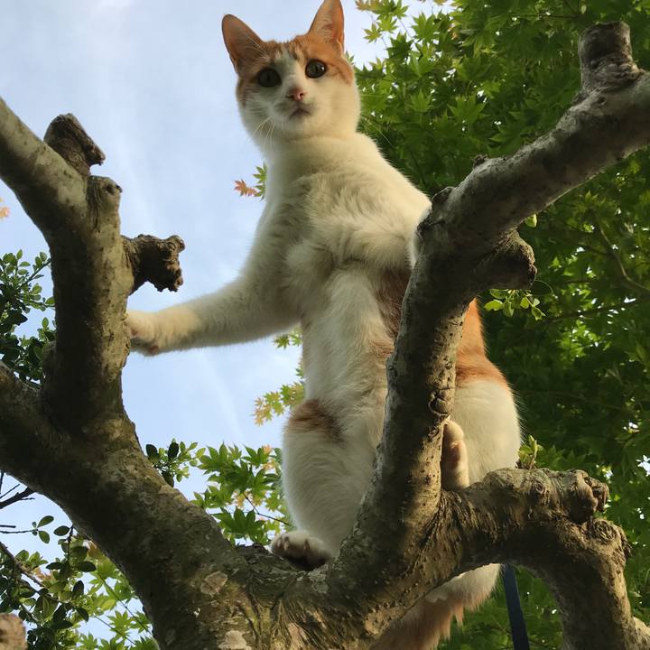 Ac5056d2 2f4a 4399 9df4 d2b893c87ba4 1526891899995