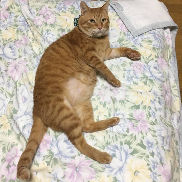 Ac507ccd a993 44fd 8be8 aff2268d95d8 1550752902054