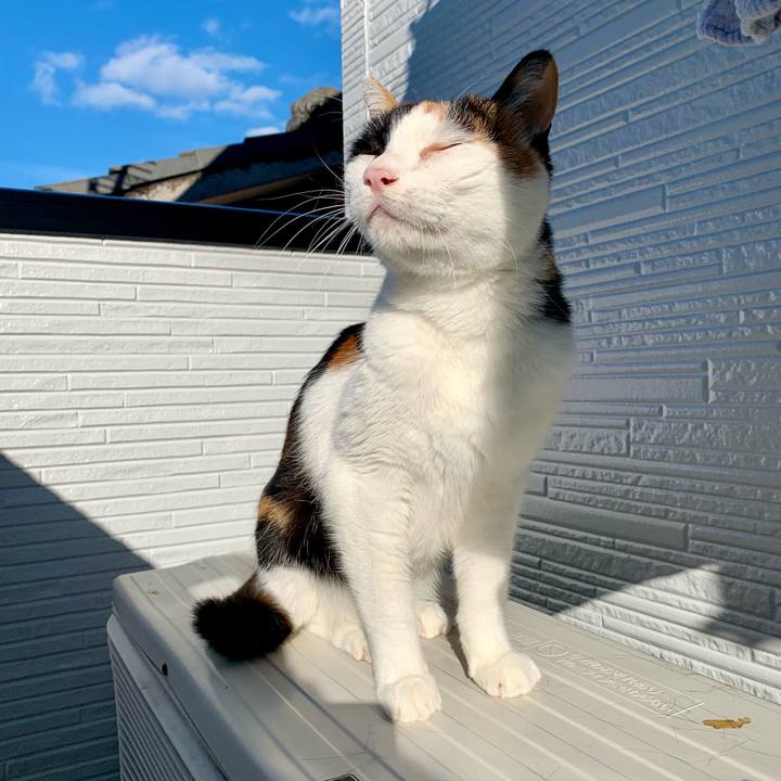 Ac50b7fe ea52 4da6 8789 90626b1a5fd7 1634513473062