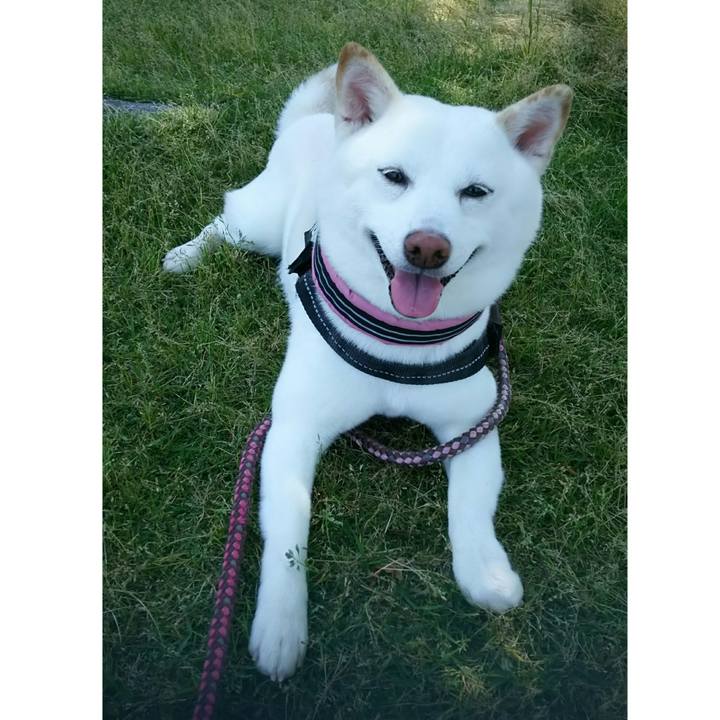 Ac50bb35 ea86 438e a972 a1538883f31f 1528079492254