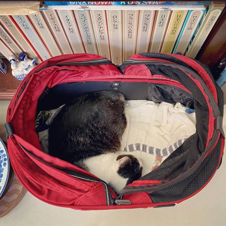 Ac50d31e adb0 43cf af27 f802f2be0e9a 1629356891589