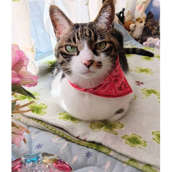 Ac5101ec 4fd0 4c1a 8ccd b033c48306f7 1771038919551