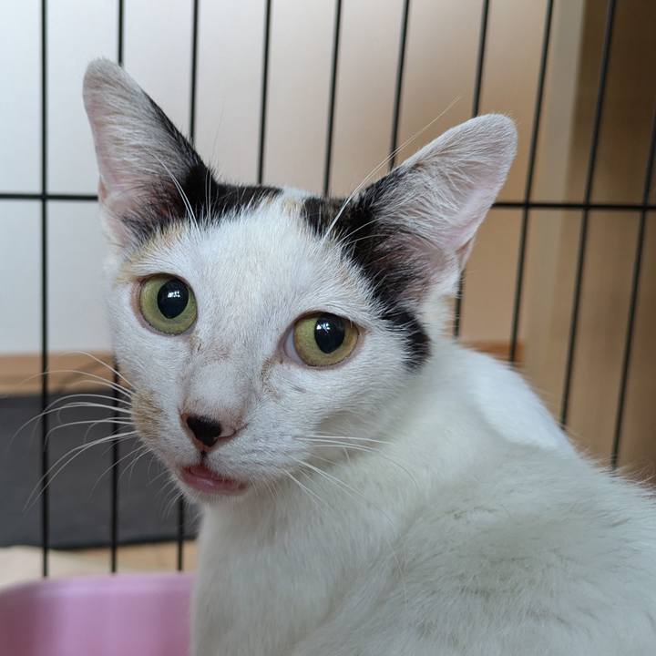 Ac51249c 0265 488d 8112 68289dddc306 1718829061328