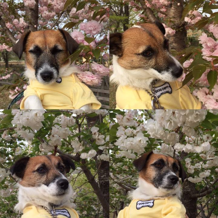 Ac513318 b7db 47e1 98d2 7845966664c9 1555458457969