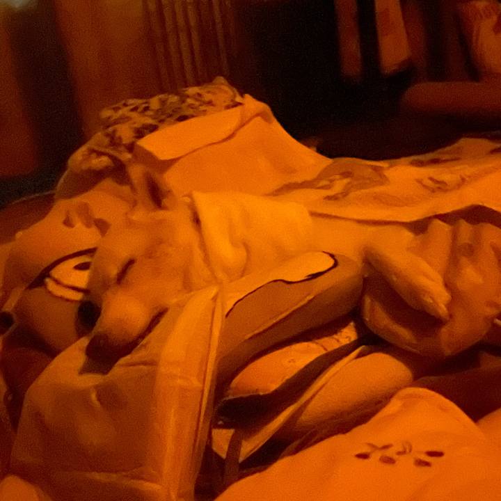 Ac517d41 ba35 464a 8794 ebfce2751d0a 1697051268797